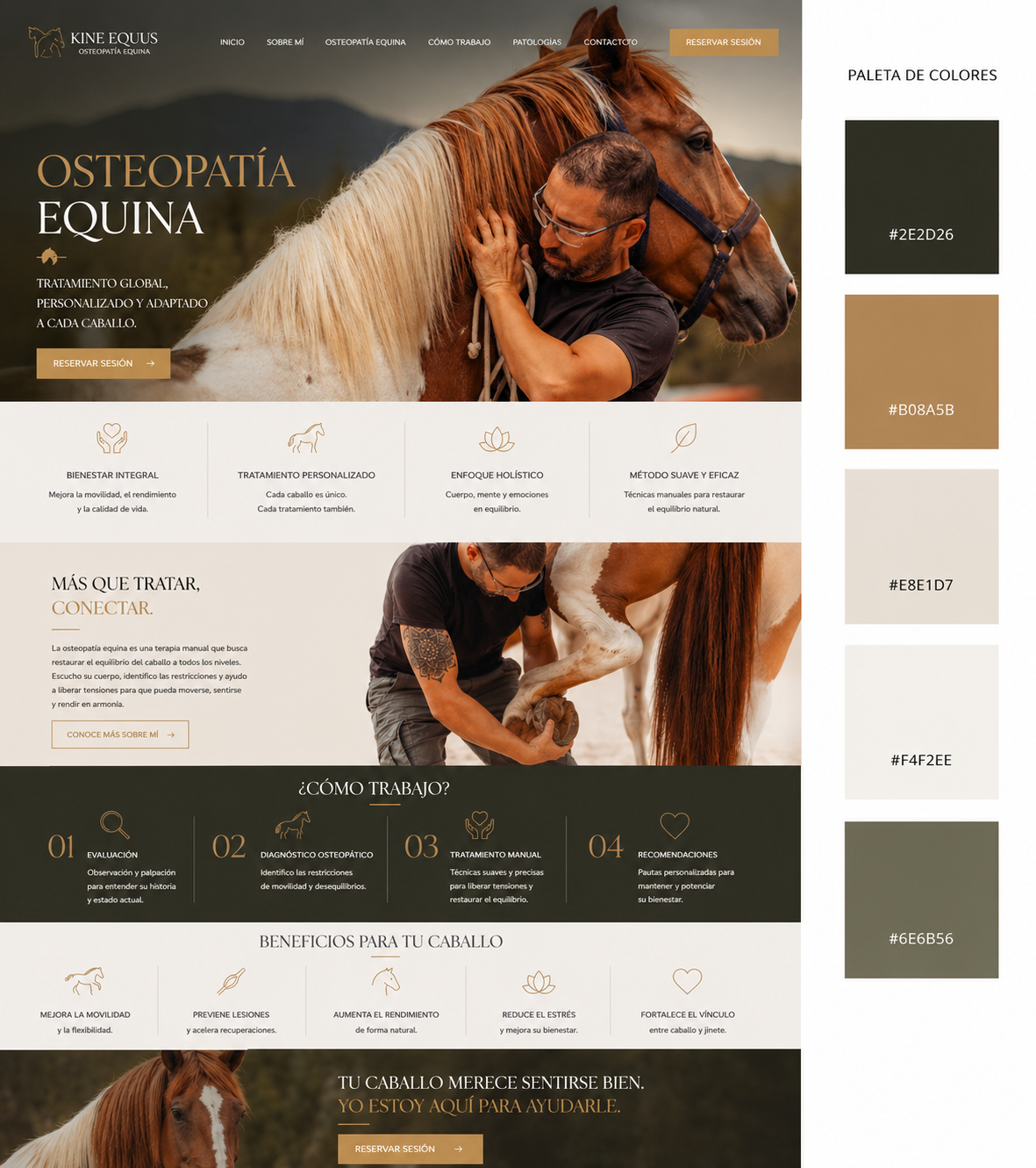 Branding y proceso web Atfisio